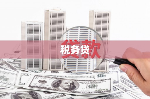 虾峙税务贷