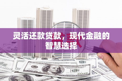 虾峙灵活还款贷款，现代金融的智慧选择