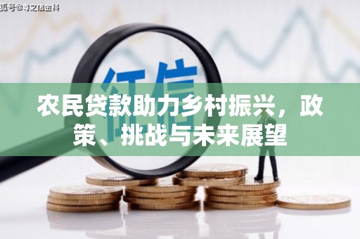虾峙农民贷款助力乡村振兴，政策、挑战与未来展望