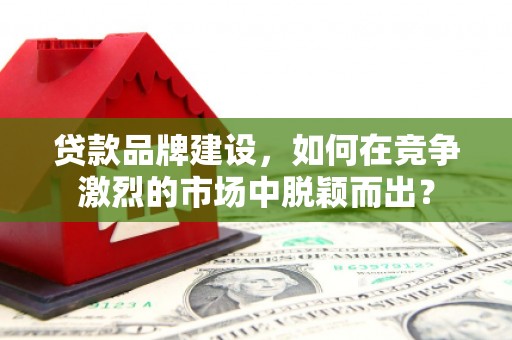 虾峙贷款品牌建设，如何在竞争激烈的市场中脱颖而出？