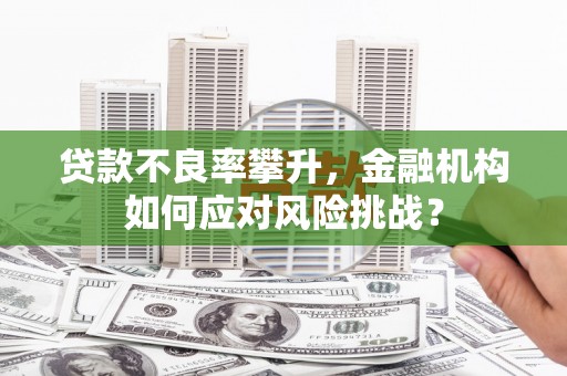 虾峙贷款不良率攀升，金融机构如何应对风险挑战？