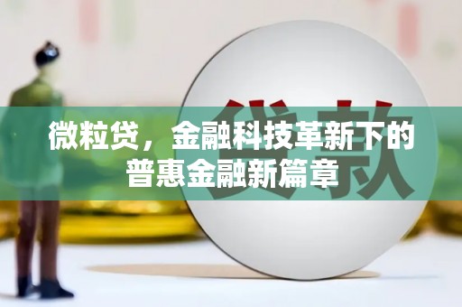 虾峙微粒贷，金融科技革新下的普惠金融新篇章