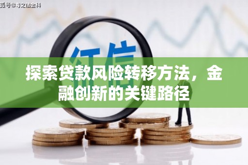 虾峙探索贷款风险转移方法，金融创新的关键路径