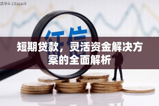 虾峙短期贷款，灵活资金解决方案的全面解析