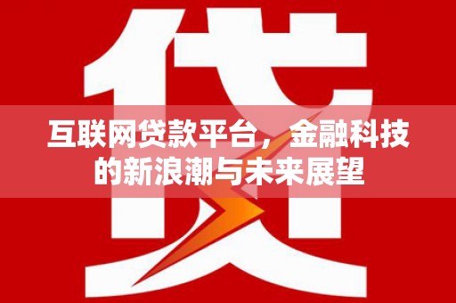 虾峙互联网贷款平台，金融科技的新浪潮与未来展望
