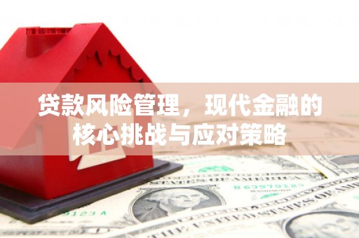 虾峙贷款风险管理，现代金融的核心挑战与应对策略