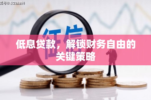 虾峙低息贷款，解锁财务自由的关键策略