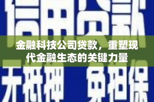 虾峙金融科技公司贷款，重塑现代金融生态的关键力量