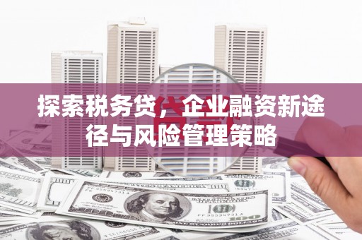 虾峙探索税务贷，企业融资新途径与风险管理策略