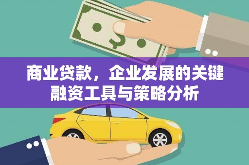 虾峙商业贷款，企业发展的关键融资工具与策略分析