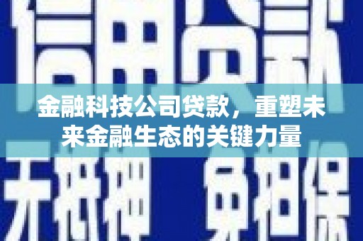 虾峙金融科技公司贷款，重塑未来金融生态的关键力量