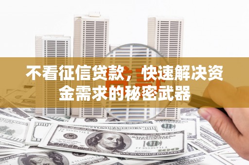 虾峙不看征信贷款，快速解决资金需求的秘密武器