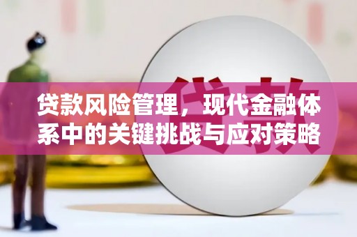 虾峙贷款风险管理，现代金融体系中的关键挑战与应对策略