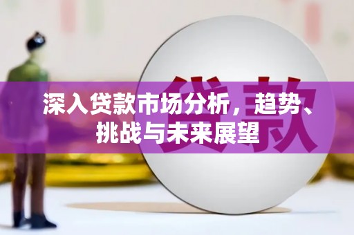 虾峙深入贷款市场分析，趋势、挑战与未来展望