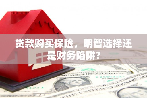 虾峙贷款购买保险，明智选择还是财务陷阱？