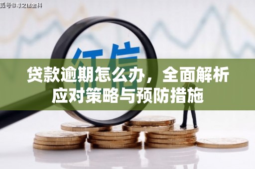虾峙贷款逾期怎么办，全面解析应对策略与预防措施