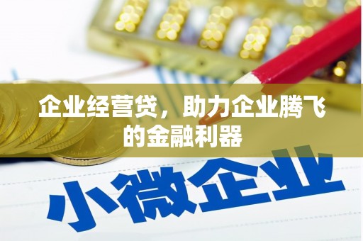 虾峙企业经营贷，助力企业腾飞的金融利器