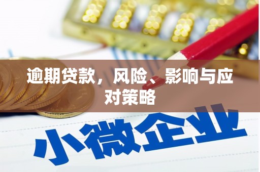 虾峙逾期贷款，风险、影响与应对策略