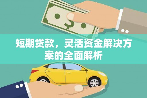 虾峙短期贷款，灵活资金解决方案的全面解析