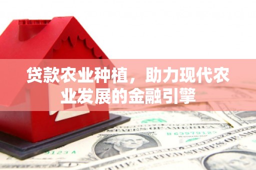 虾峙贷款农业种植，助力现代农业发展的金融引擎