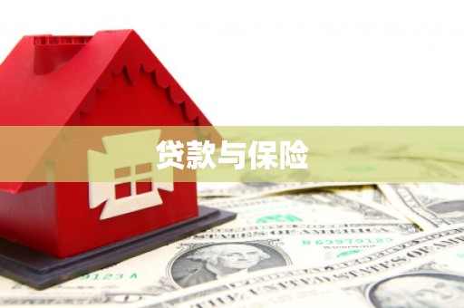 虾峙贷款与保险