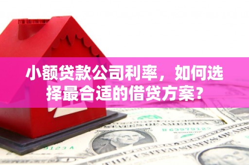 虾峙小额贷款公司利率，如何选择最合适的借贷方案？