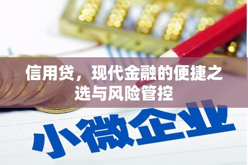 虾峙信用贷，现代金融的便捷之选与风险管控