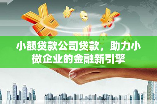 虾峙小额贷款公司贷款，助力小微企业的金融新引擎