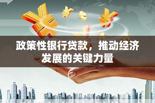 虾峙政策性银行贷款，推动经济发展的关键力量