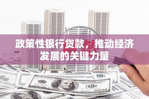 虾峙政策性银行贷款，推动经济发展的关键力量