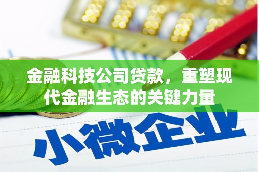 虾峙金融科技公司贷款，重塑现代金融生态的关键力量