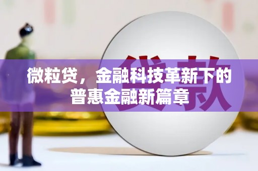 虾峙微粒贷，金融科技革新下的普惠金融新篇章