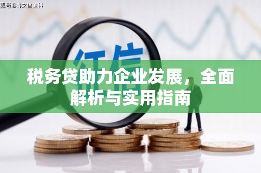 虾峙税务贷助力企业发展，全面解析与实用指南