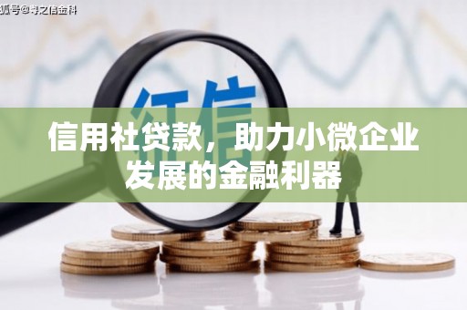 虾峙信用社贷款，助力小微企业发展的金融利器