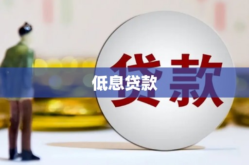 虾峙低息贷款
