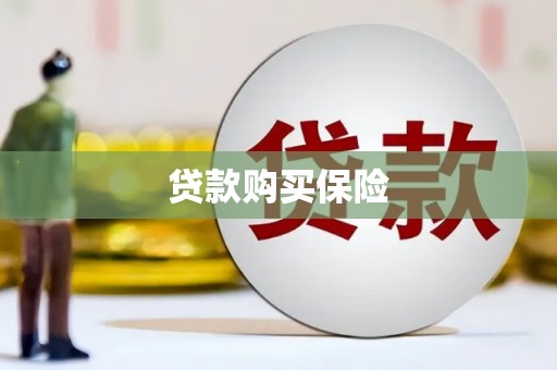 虾峙贷款购买保险