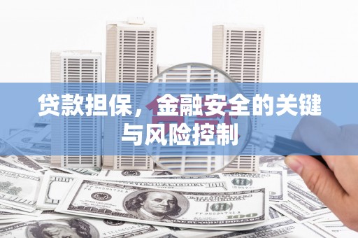 虾峙贷款担保，金融安全的关键与风险控制