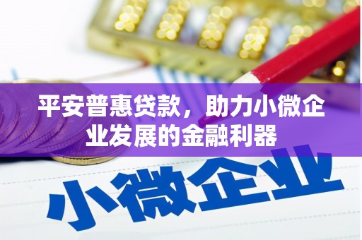虾峙平安普惠贷款，助力小微企业发展的金融利器