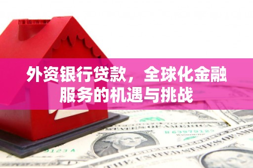 虾峙外资银行贷款，全球化金融服务的机遇与挑战
