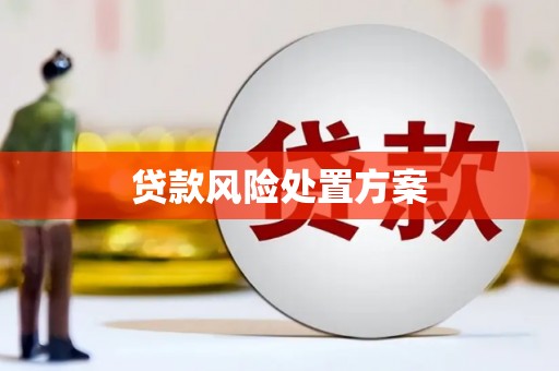 虾峙贷款风险处置方案