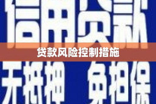 虾峙贷款风险控制措施