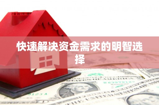 虾峙快速解决资金需求的明智选择