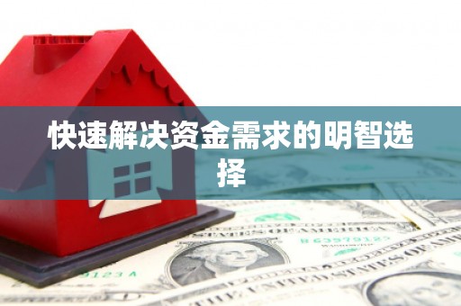 虾峙快速解决资金需求的明智选择