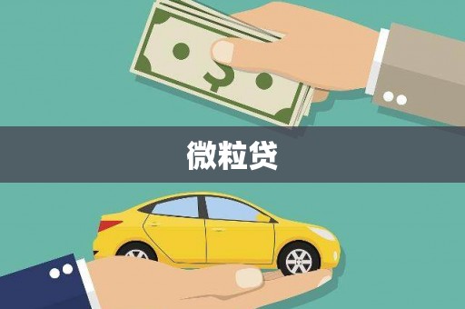 虾峙微粒贷