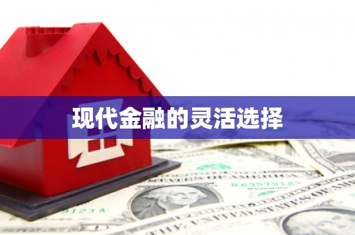 虾峙现代金融的灵活选择