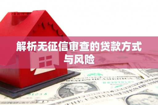 虾峙解析无征信审查的贷款方式与风险