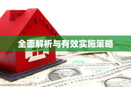虾峙全面解析与有效实施策略