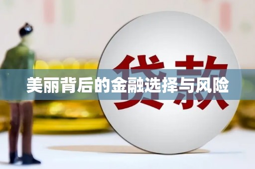 虾峙美丽背后的金融选择与风险