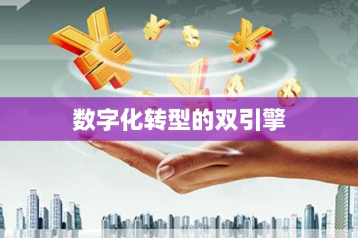 虾峙数字化转型的双引擎