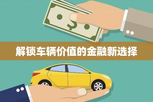 虾峙解锁车辆价值的金融新选择